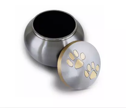 Solid brass cat dog pet paw print cremation funeral urn pewter LARGE 6" BNIB 2