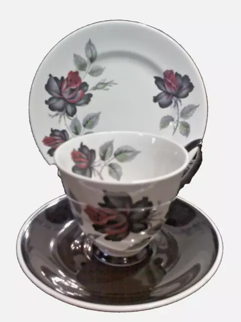 Vintage Royal Albert Masquerade Trio Cup Saucer Tea Plate Black Rose Gothic Mint