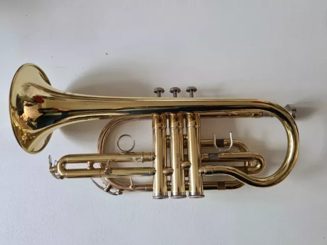 Cornet By Virtuosi