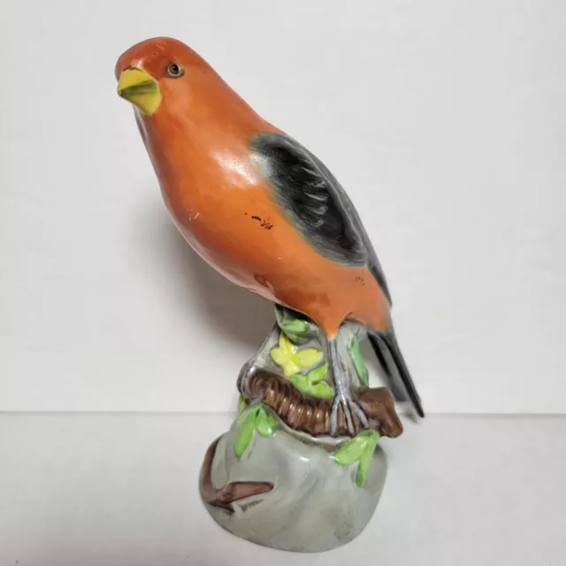 English Spode Copeland China Bird Figurine Orange Black with Glass Eye 5 1/8"