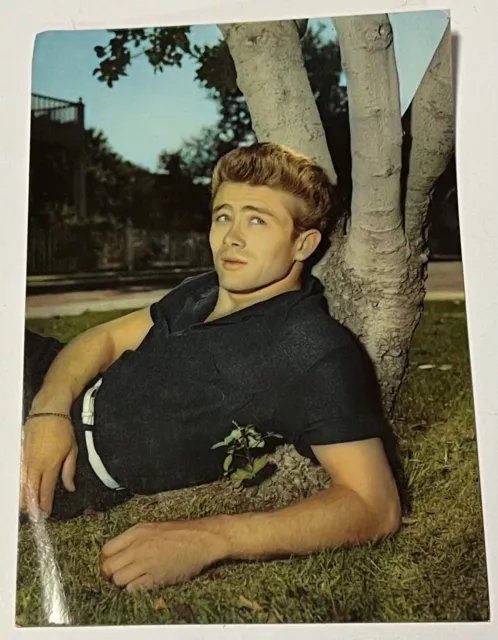 Postcard James Dean Actor Cultural Icon Vintage PC