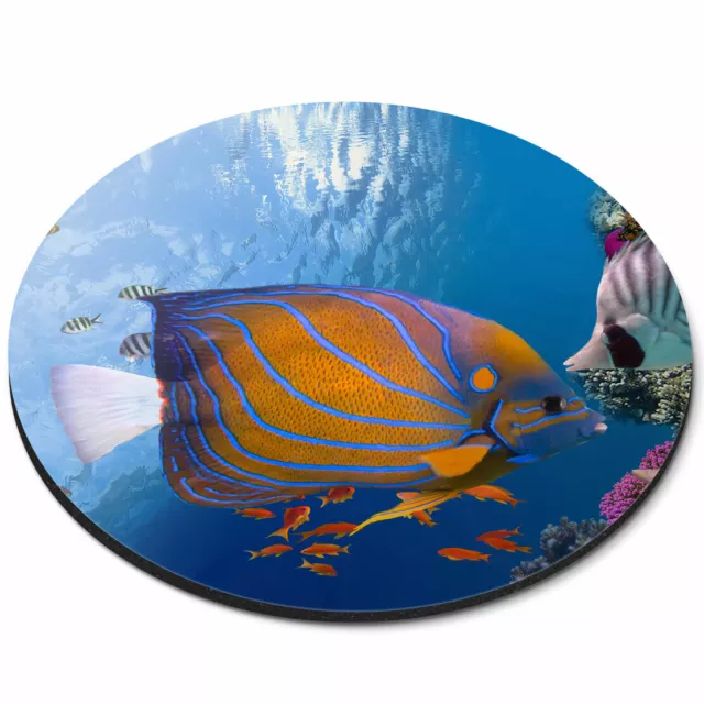 Round Mouse Mat - Tropical Fish Underwater Fun Office Gift #2343