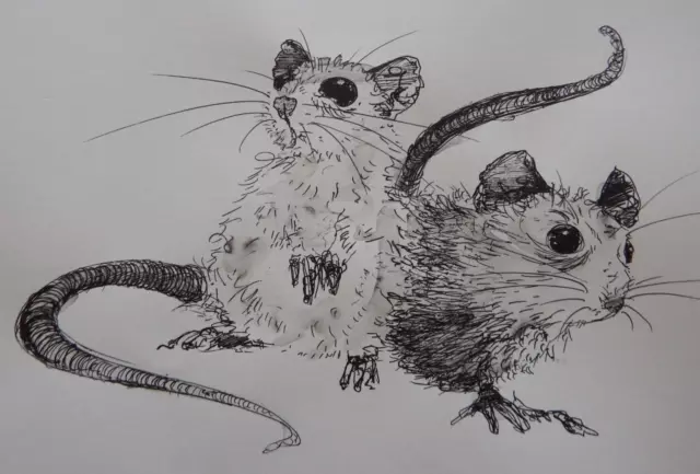 Original handgezeichnete Stift & Tinte Zeichnung von zwei Mäusen 2 Nagetieren auf elfenbeinweißem Papier