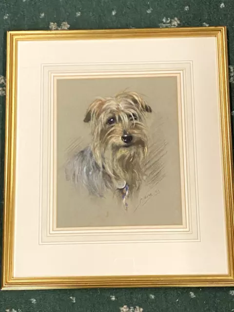 Rare Antique Silky Terrier Pastel Dog Painting By Mabel Gear 1940