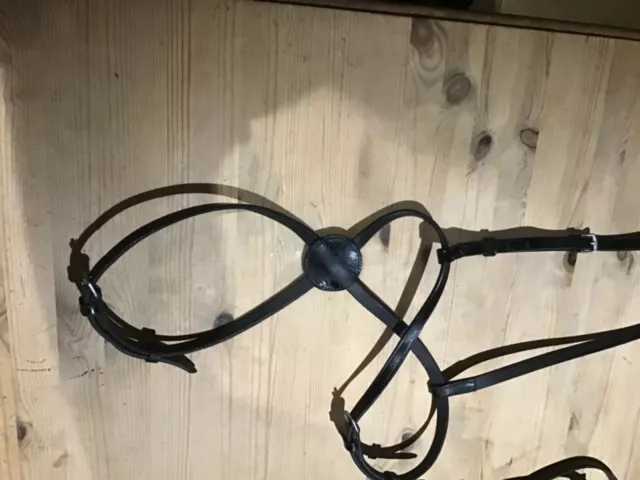 black grackle noseband cob size