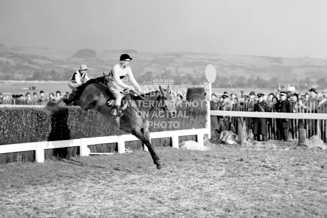 Arkle Pat Taaffe 1964 Gold Cup Cheltenham Festival Photo Print Horse Racing 3