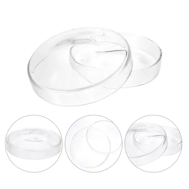 Borosilicate Petri Dish Glass Flat Dishes Lab Laboratory Cell