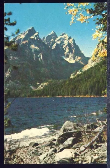 VTG Postcard Tetons Above Jenny Lake, Cascade canyon