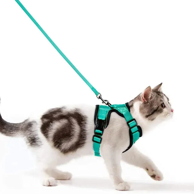 Arnes Gato Antiescape, Arnés para Gato Ajustable con Correa de 150cm, Chaleco