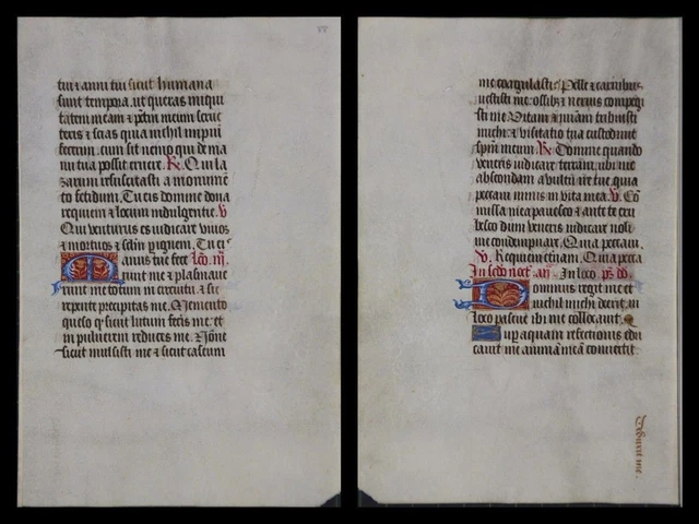 Illuminierte Grafia Su Pergamena Foglia Di Uno Miniatura Um 1500 (064)