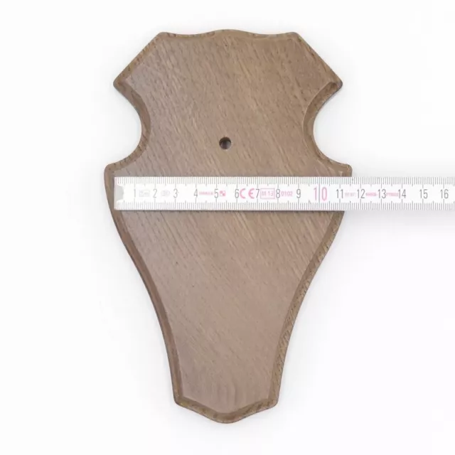 1 Pieza Ciervo Escudo de Trofeo Romo Braun Pequeño Af 19cm x 11cm Con Kf + 1x 3