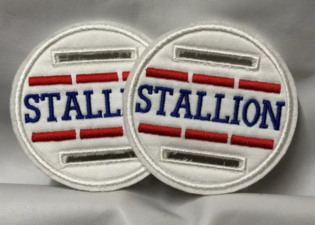 2 X 8cm White Satin Overlay DRESSAGE horse STALLION Bridle Discs Badge Show