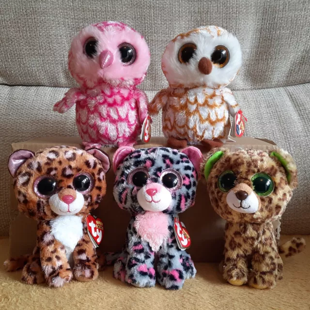 5 Ty Beanie Boos, Owls & Pussy Cats (Pinky, Swoops, Tasha, Patches & Speckles)