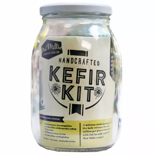 KEFIR STARTER KIT + CULTURING FLASK ~Eight Good Bacteria Strains~ Free Shipping 3