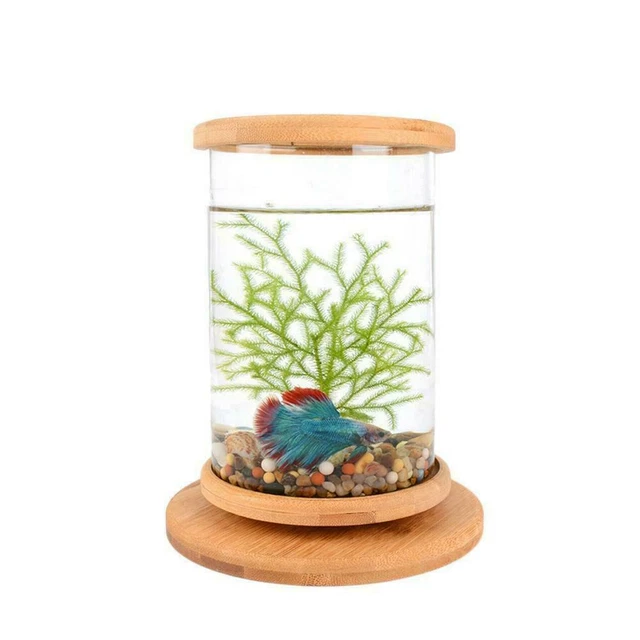 Small Fish Tank Decor Fish Bowl Accessories Betta Glass Base Aquarium S0E1 2