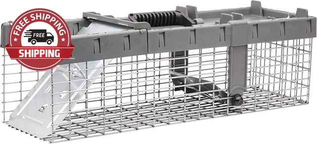 Havahart 1026 Small 1-Door Humane Live Catch and Release Animal Trap for Squirre