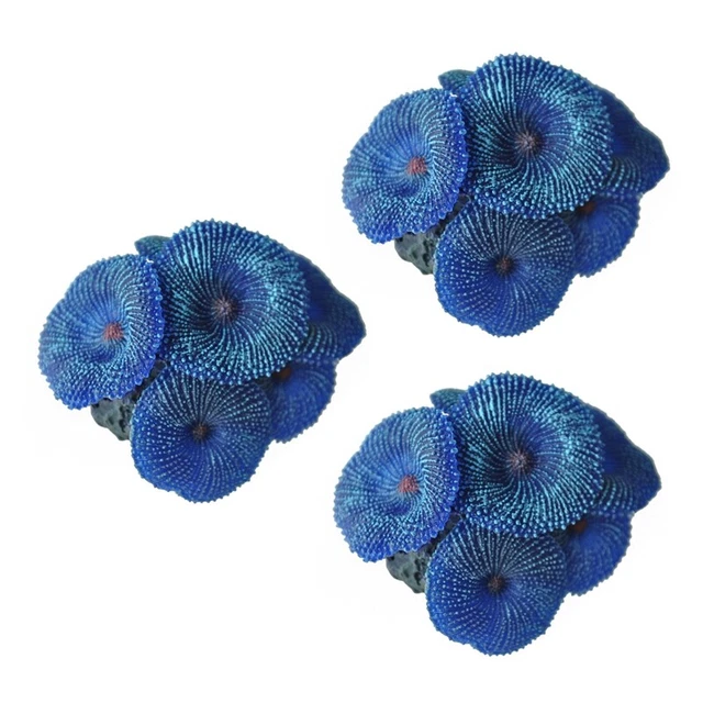3 x acquario artistico corallo blu E4P2