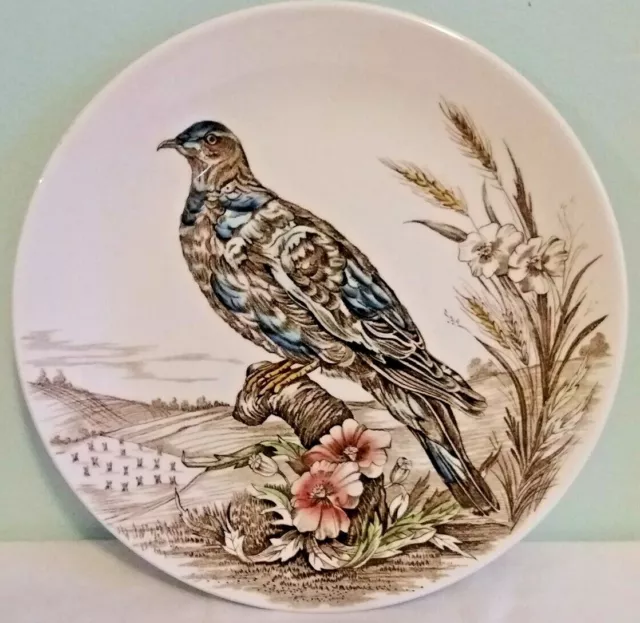 British Anchor Wild Birds of Heath & Moorland Pigeon 10 Inch Display Plate