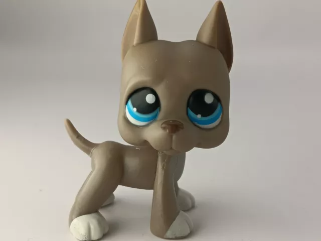 petshop authentic LPS chien Dogue Argentin Great Dane dog rare #184 Aiman hasbro