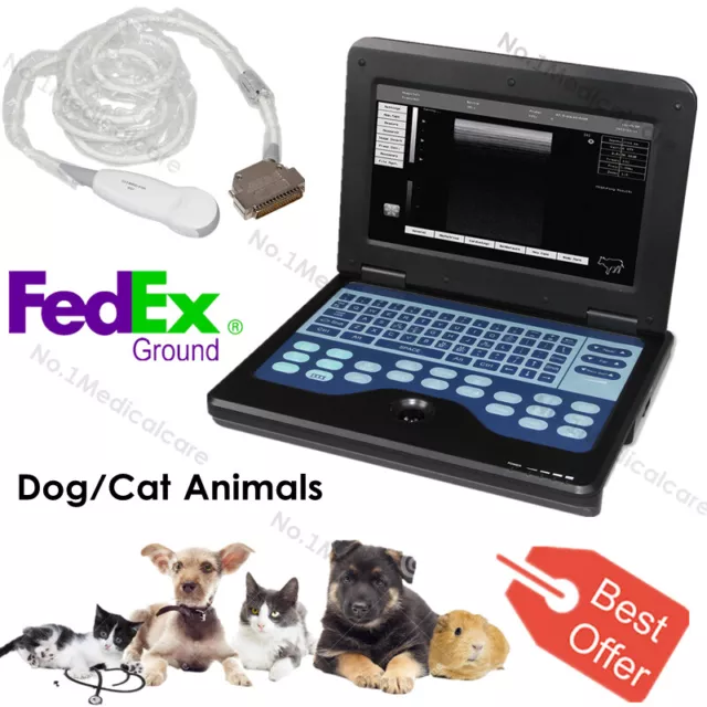 Cat Dog Animal VET Digital Ultrasound Scanner Laptop Machine Micro-convex Probe