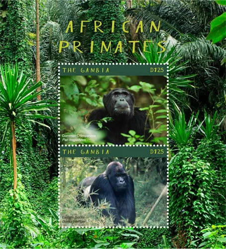 Gambia 2018 - African Primates, Gorilla, Chimpanzee - Souvenir Stamp Sheet - MNH