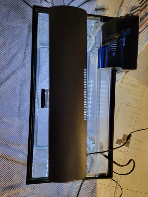 10 gallon fish tank starter kit