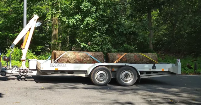 Böcmann Anhänger Offener Kasten Plattform Autotransporter 2000 kg Böcmann Anhänger Offener Kasten Plattform Autotransporter 2000 kg
