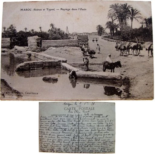 Maroc Paysage dans l'oasis cpa 1921 scènes et types