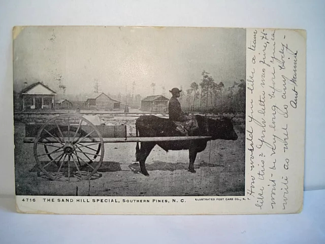 🔥🔥🔥 Vintage SOUTHERN PINES NC Postcard BLACK BOY RIDING BULL WAGON Old South