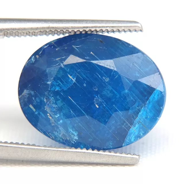 SHOLA Echt 8,83 Ct Natürlicher Selten Blau Apatit Top Farbe aus Brasilien