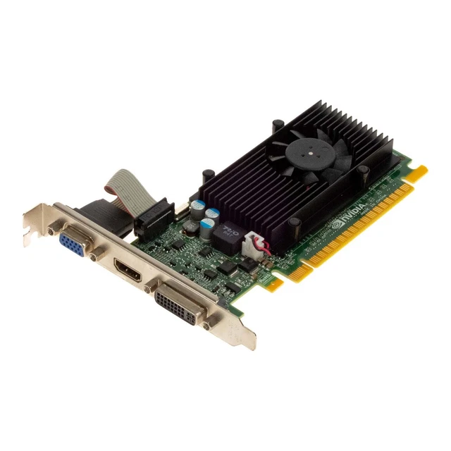 NVIDIA NVS 310 by PNY - Carte graphique - Quadro NVS 310 - 512 Mo DDR3 - PCIe 2.0 x16 Low Profile - 2 x DisplayPort