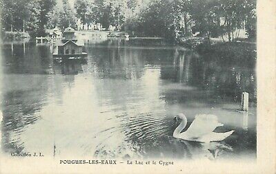 58 pougues-les-Eaux lake and the swan