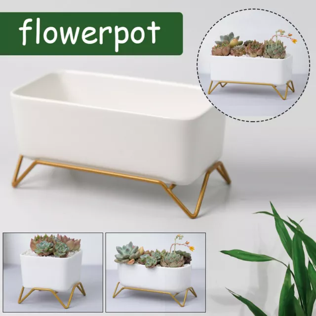 White Ceramic Succulent Plant Pot Cactus Flower Planter with Metal Tray Stand