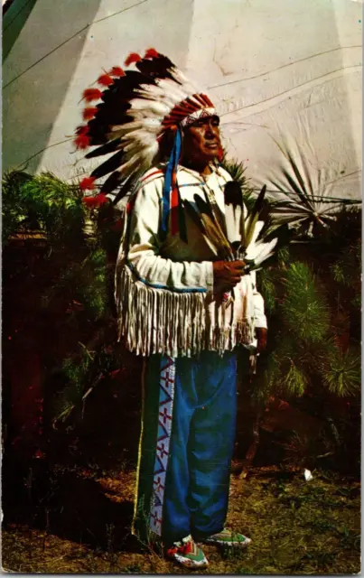 Vtg Postcard, Native American Indian Chief