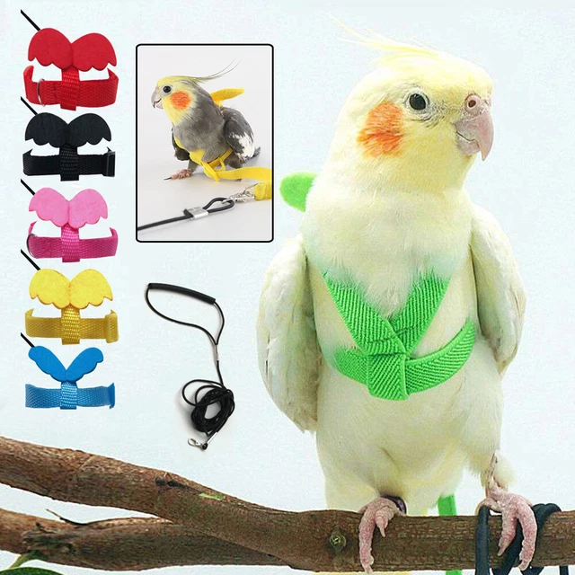 Ensemble De Laisse De Harnais D'oiseau Harnais Volant De Perroquet Pour Les 《