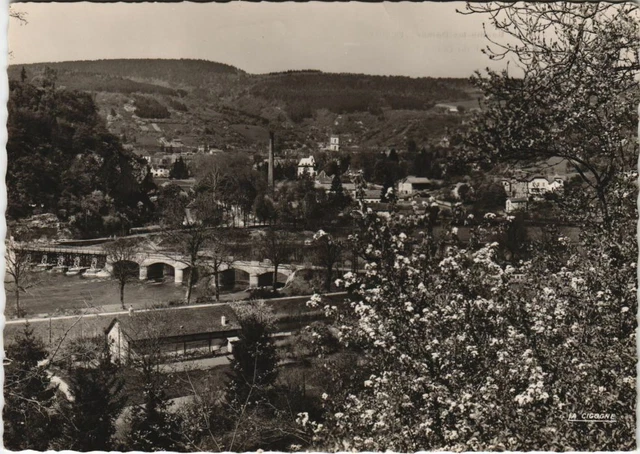 CPM BAUME-les-DAMES Le Pont du Doubs (1197018)