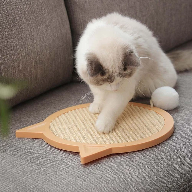 Exercising Cat Scratching Board Cat Toys Ball Pet Supplies Cat Scratcher Toy