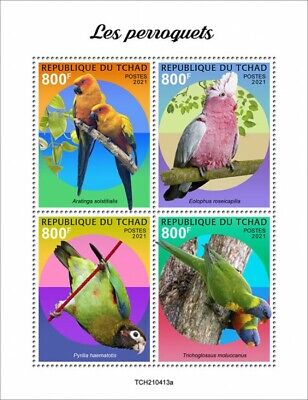 non linguellato COLIBRI 'Colibrì 4v M/S COLIBRI birds stamps Chad 2019 Gomma integra 