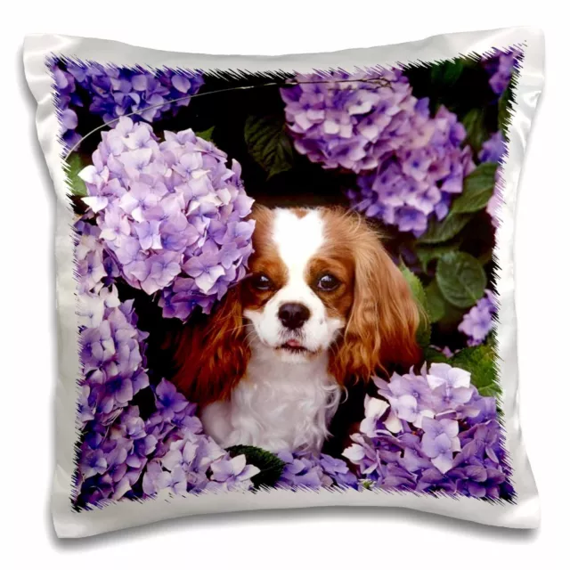 3dRose Cavalier King Charles Spaniel 16x16 inch Pillow Case