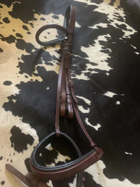 Raised Hunter Jumper Bridle by STS Made in Europe Havana Quality Show Bridle