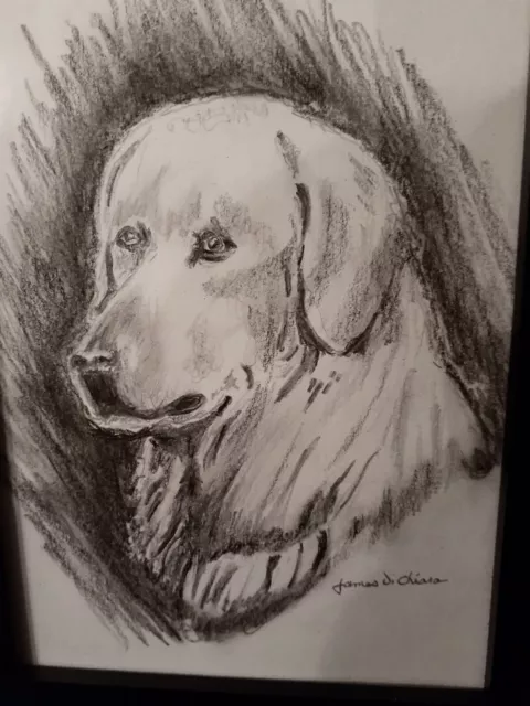 Pencil drawing/sketch DOG graphite framed 5"×7" signed