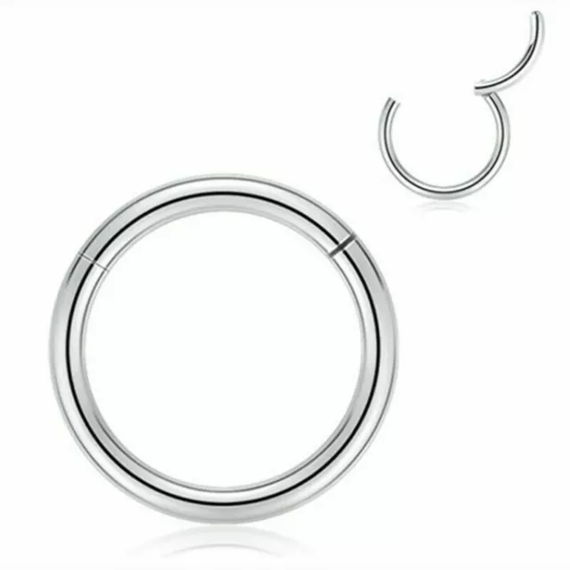 Stainless Steel Segment Hinged Clicker Ear Nose Body Ring Lip Hoop Piercing 1PC