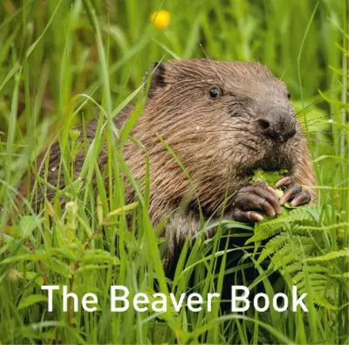 Hugh Warwick Beaver Book, The (Relié) Nature Book Series