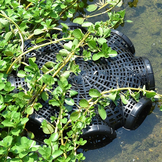 Cage à anguille pratique pour une pêche efficace 8 trous piège à homard de p