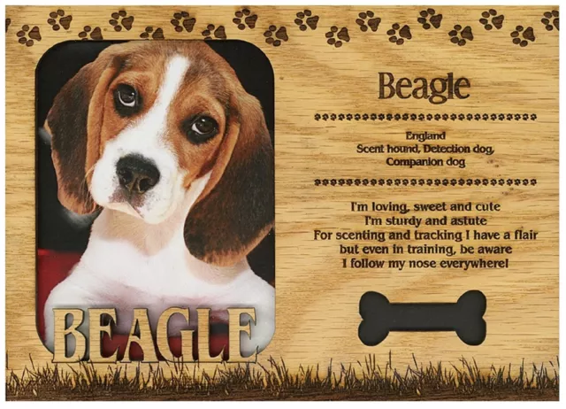 Beagle Engraved Wood Picture Frame Magnet