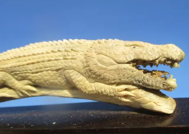 Krokodil , Alligator aus Hirschhorn geschnitzt auf Holzsockel !