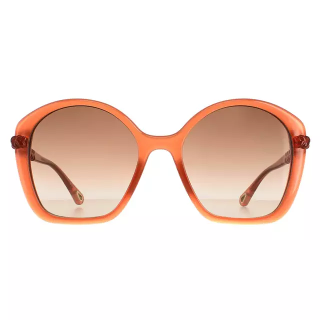 Chloe Sunglasses CH0003S 002 Dark Pink Brown Gradient