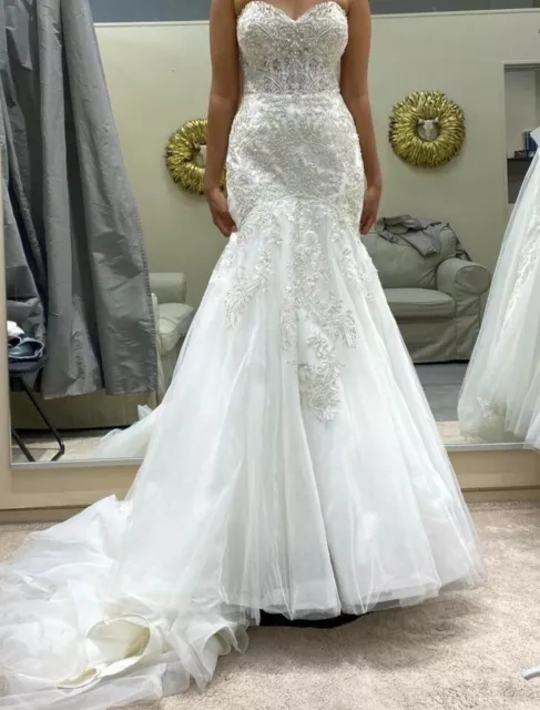 Stella york hotsell 6569 price
