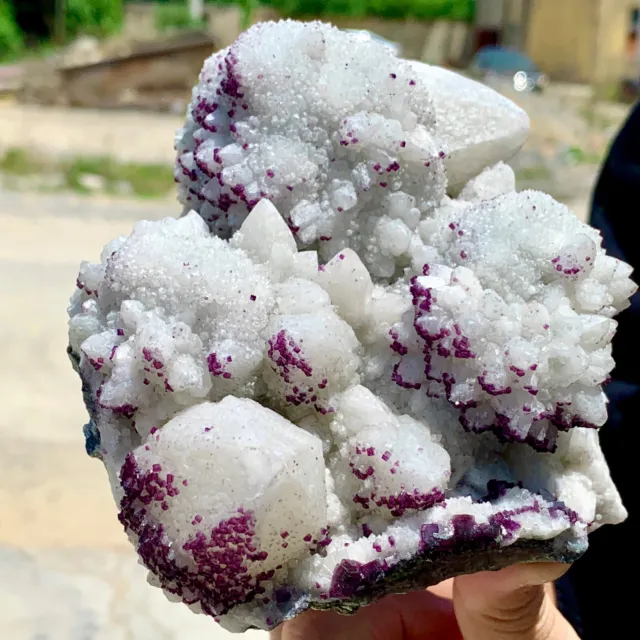 3LB WhiteSprouting Quartz Cluster +purpie cubic fluorite From InnerMongolia
