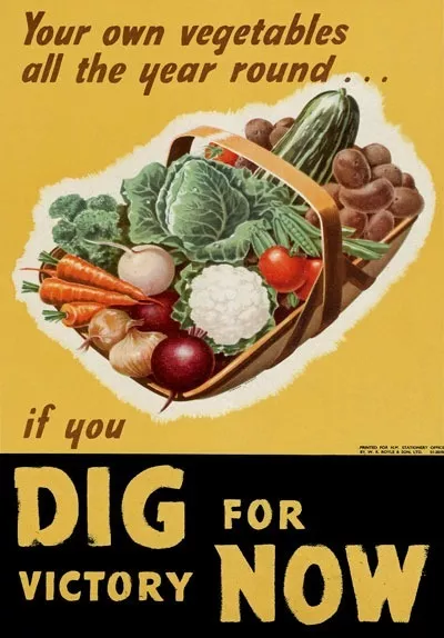 WB34 Vintage WW2 British Grow Your Own Dig For Victory WWII War Poster A2/A3/A4